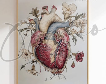 May include: A detailed anatomical illustration of a human heart with intricate veins and arteries, surrounded by delicate white and pink flowers. The heart is depicted in a realistic style with a red and pink color palette.