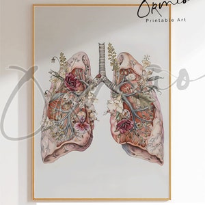 Anatomical Lungs Print,human Anatomy Art, Lungs Art Print, Respiratory ...