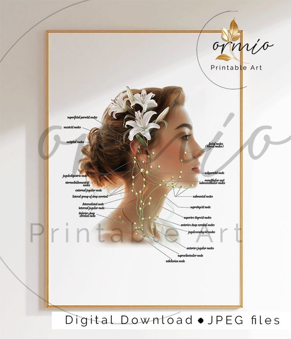 Face Lymphatic System Art Print: Esthetician Decor (Digital Download)