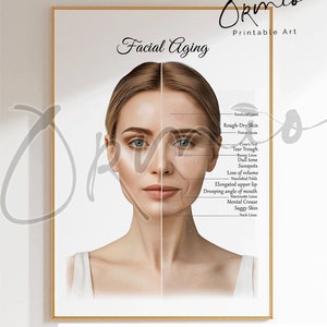 Può includere: Un'illustrazione stampabile che mostra i segni visibili dell'invecchiamento del viso. L'illustrazione mostra il viso di una donna sul lato sinistro con tratti giovanili e il lato destro del suo viso che mostra segni di invecchiamento. L'illustrazione include etichette per ogni segno di invecchiamento, come le rughe della fronte, la pelle ruvida e secca, le zampe di gallina, il solco lagrimale e le rughe del collo.