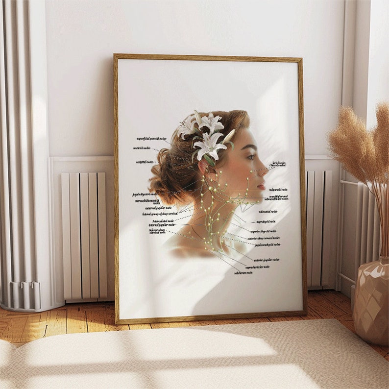 May include: A diagram of the lymph nodes in the neck and head, illustrated on a woman with a white flower in her hair. The diagram includes labels for the superficial parotid nodes, submandibular nodes, and other lymph nodes.