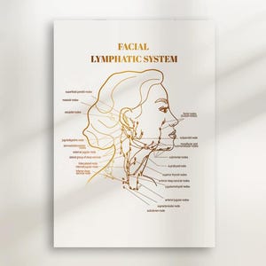 以下が含まれることがあります： 白い背景に顔のリンパ系の線画。図は金色で、顔と首のリンパ節を示しています。