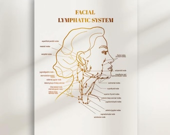 Facial Lymphatic System Diagram: Gold Anatomy Art (Digital Download)