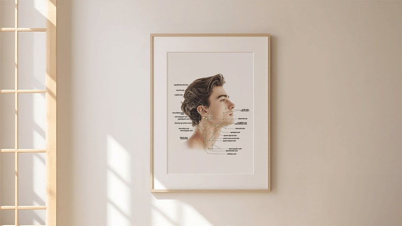 May include: A framed illustration of a man's face in profile, with labelled points on the face and neck. The illustration is in a light brown frame and is on a white wall.