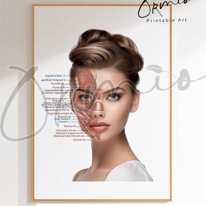 Gesichtsanatomie Kunst, Gesichtsmuskulatur Kunst, Kosmetikerin Kunst, Masseurin Druck, Botox Druck, Kosmetikinjektionskunst, Med Spa Kunst, bedruckbar