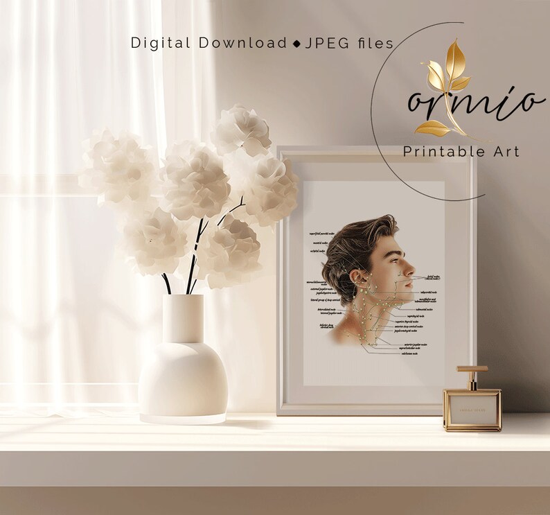 May include: A printable art print featuring a detailed illustration of the human face and neck with labelled acupuncture points. The illustration is in a white frame and is displayed on a white shelf with a white vase and flowers.
