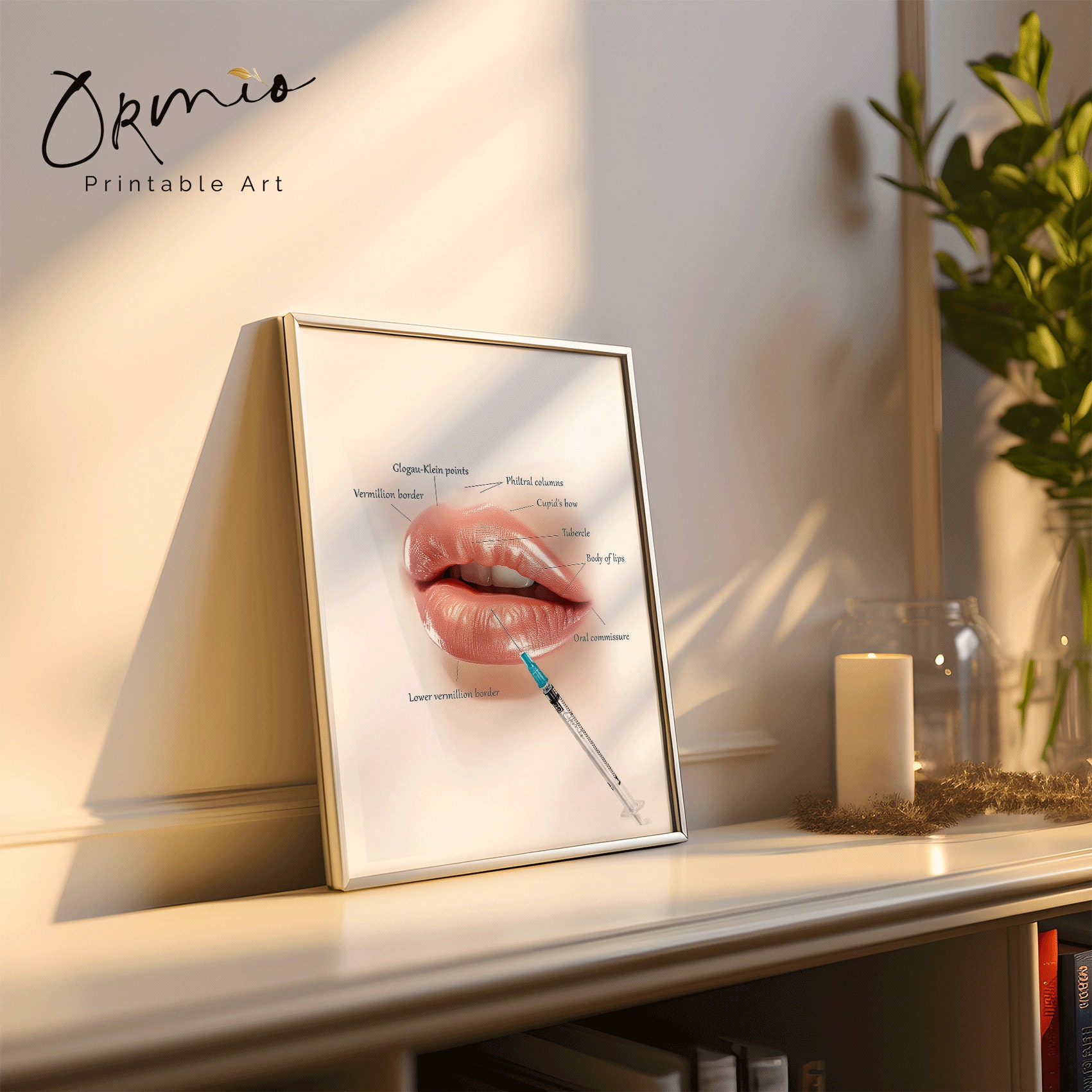 Lip Anatomy Poster, Lip Anatomy Print, Lip Filler Poster, Nurse