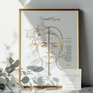 Facial Aging Printable Art | Beauty Salon & Clinic Wall Art | Aesthetic Dermatology Decor | Skin Aging  Print | Educational Skincare Art