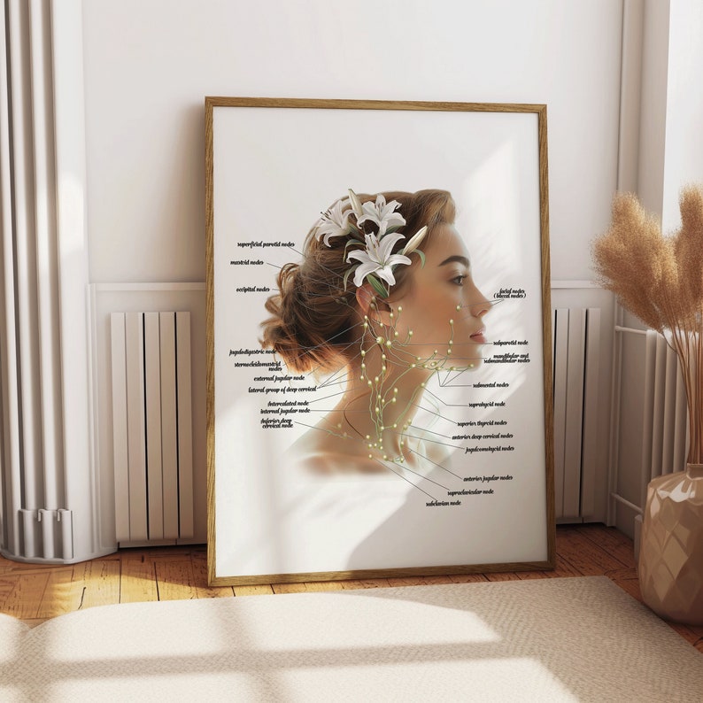 May include: A diagram of the lymph nodes in the head and neck, illustrated with a woman's face and a white flower. The diagram labels the superficial parotid node, submandibular node, and other lymph nodes.