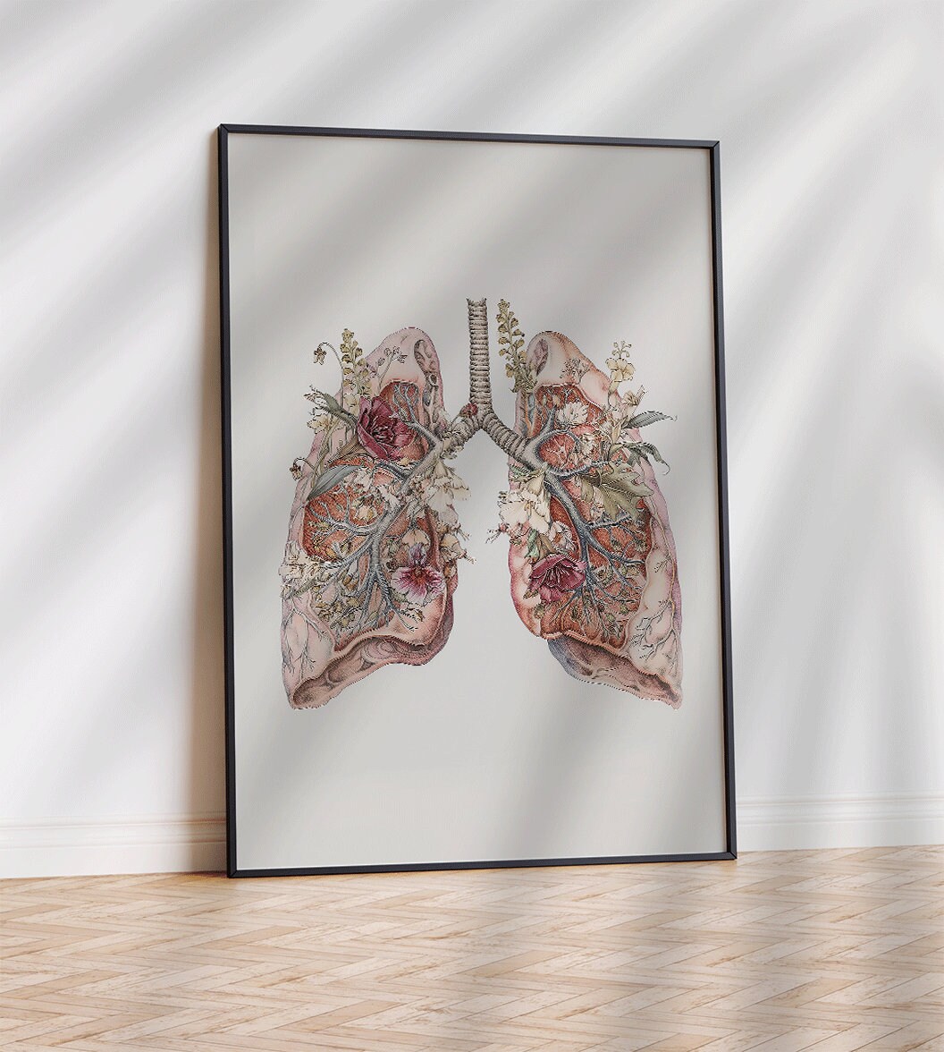 Anatomical Lungs Print,human Anatomy Art, Lungs Art Print, Respiratory ...