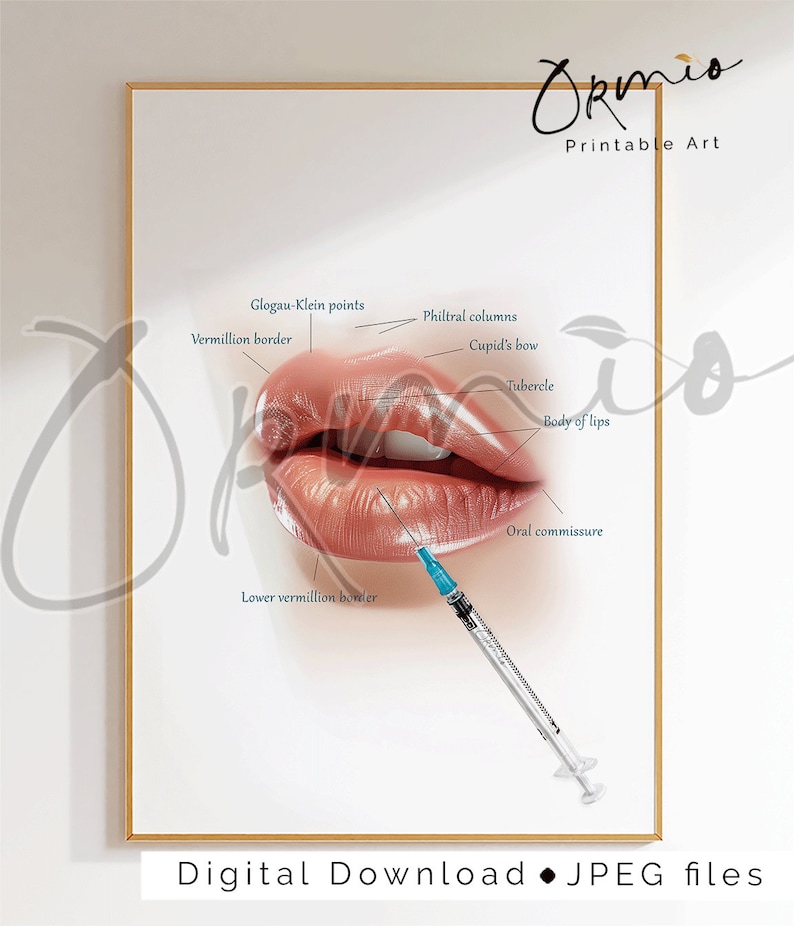 Lip Anatomy Poster, Lip Anatomy Print, Lip Filler Poster, Nurse