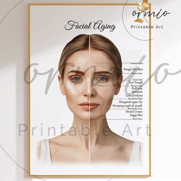 Facial Aging Poster, Skin Aging Art, Esthetician Decor, Med Spa Art, AntiAging Center Decor, Wrinkles Poster, Facial Wrinkles Art, Printable