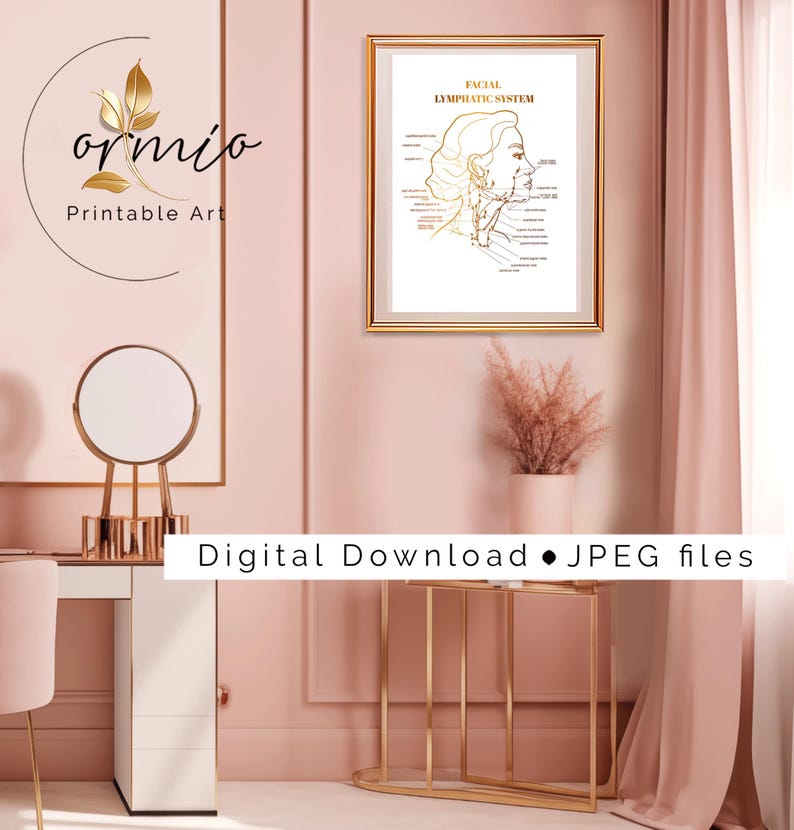 Detailed facial lymphatic system art for medical spas, featuring nodes and pathways