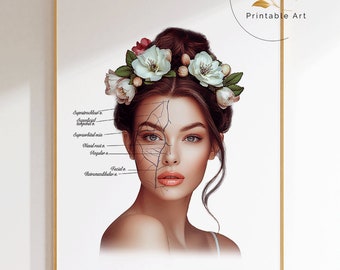 May include: A digital illustration of a woman's face with a floral crown. The face is labeled with the names of various arteries and veins. The image is in a white frame with the text "ormio Printable Art" and "Digital Download JPEG files".