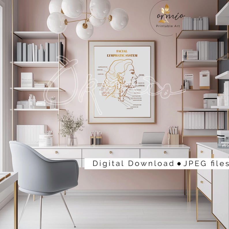 Educational anatomy poster highlighting facial lymph nodes, perfect for professional offices.