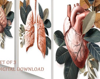 Anatomy Art Set of 3, Brain Heart Lungs Wall Art, Doctor Office Decor, Medical Office Wall Art, Anatomy Prints Printable