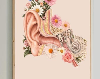 Ear Anatomy Art, Audiology Office Decor, ENT Wall Art, Hearing Clinic Decor, Human Ear Anatomy Poster, Audiologist Gift, Medical Print