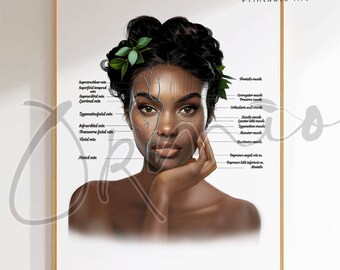 Facial Veins and Muscles Anatomy Poster: Esthetician Art (Printable)