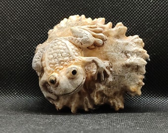 Statuetta di rana, osso intagliato, fatto a mano, rospo, anfibio