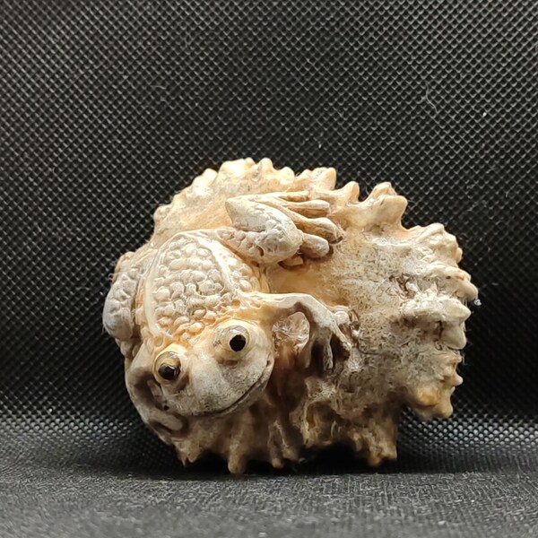 Frog Statuette, Carved Bone, Handmade, Toad, Amphibian