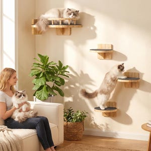 May include: A wall-mounted cat furniture set featuring light wood platforms with dark gray circular pads. The system includes one long rectangular shelf with a slatted railing and three smaller circular steps arranged vertically on the wall.