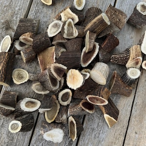 Red Deer Antler Pieces for Crafts, Genuine Antler Chunks by Weight or Size, Rustic Natural Supply for DIY Projects, Cabin Lodge Decor Gift