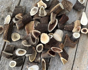 Red Deer Antler Pieces by Weight or Size - Craft Blanks, Rustic Decor