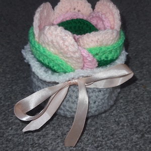 Tic-tac-toe houseplant pattern - crochet