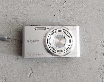 Sony Cyber-shot DSC-W730 16,1 MP digitale camera zilver + oplader, batterij, tas en SD-kaart