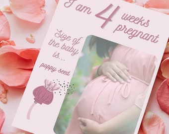Beautiful pregnancy baby belly bump size canva template cute romatic love couple printable pastel pictures fruit vegetable fetal development