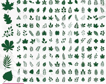 Leaves Svg Bundle, Leaf Svg, Fall Leaves Svg, Leaves Clipart, Leaves Silhouette, Plant Svg, Paper Leaves Svg, Greenery Svg, Instant Download