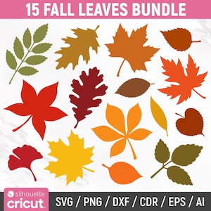 May include: A digital graphic bundle titled 15 FALL LEAVES BUNDLE featuring fifteen distinct leaf silhouettes in shades of olive green, mustard yellow, orange, red, and brown. The file formats SVG, PNG, DXF, CDR, EPS, and AI are listed at the bottom.