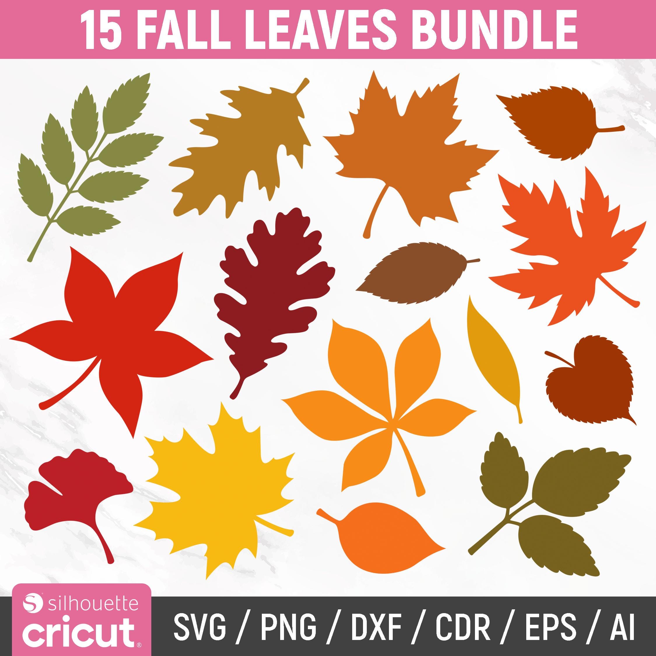Fall Leaves Svg Bundle, Fall Svg, Fall Leaf Svg, Autumn Leaves Svg ...