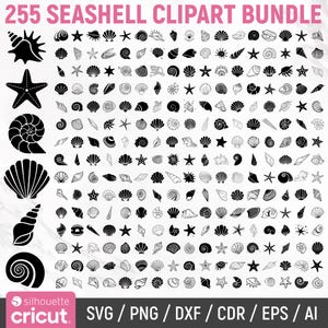 Pacchetto SVG di conchiglie, SVG di conchiglie, Clipart di conchiglie, SVG di Sea World, SVG di conchiglie, Silhouette di conchiglie, Vettore di conchiglie, Download istantaneo