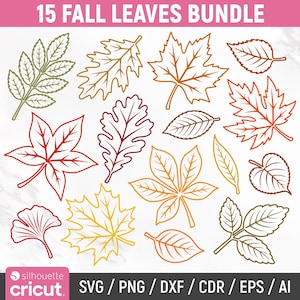 Puede incluir: Un conjunto gráfico digital titulado 15 FALL LEAVES BUNDLE que presenta quince contornos de hojas distintos en varios colores otoñales, incluyendo rojo, naranja, amarillo y verde. La colección incluye formas de hojas de arce, roble y ginkgo.