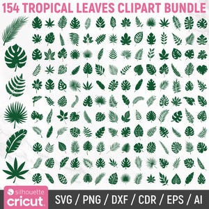 Tropical Leaves Svg Bundle, Monstera Leaf Svg, Jungle Leaves Clipart, Leaves Silhouette, Palm Branch Svg, Palm Leaf Svg, Instant Download