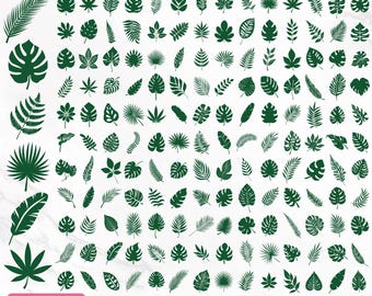 May include: A collection of 154 tropical leaves in various shapes and sizes, rendered in a dark green color. The image includes text that reads "154 TROPICAL LEAVES CLIPART BUNDLE" and file format options: SVG, PNG, DXF, CDR, EPS, and AI.