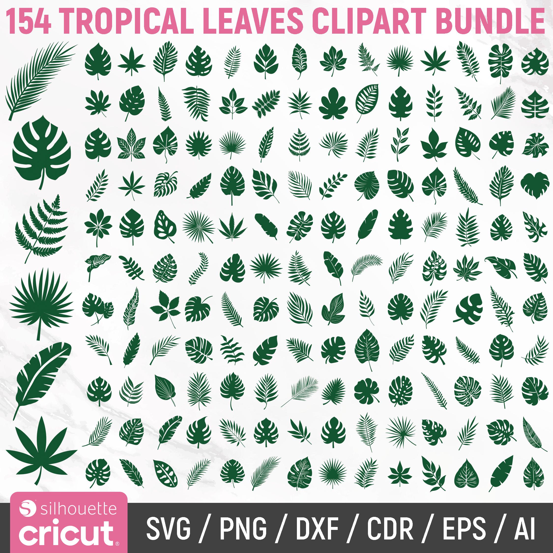 Tropical Leaves Svg Bundle, Monstera Leaf Svg, Jungle Leaves Clipart ...
