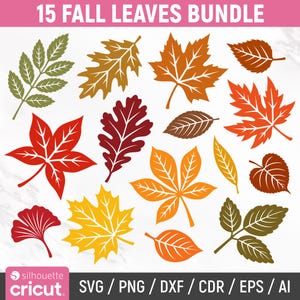 Może przedstawiać: Cyfrowy pakiet graficzny zatytułowany 15 FALL LEAVES BUNDLE zawierający piętnaście różnych ilustracji liści w odcieniach czerwieni, pomarańczu, żółci, brązu i zieleni. Kolekcja obejmuje różne kształty liści, w tym liście klonu, dębu i miłorzębu.