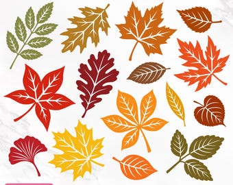 Fall Leaves Svg Bundle, Fall Svg, Fall Leaf Svg, Autumn Leaves Svg, Autumn Clipart, Leaves Vector, Leaves Silhouette, Png, Instant Download