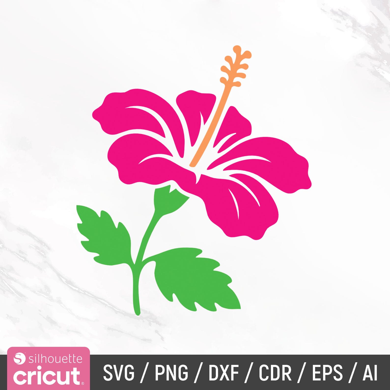Hibiscus Svg Bundle, Tropical Flower Svg, Hawaii Flower Svg, Hibiscus ...