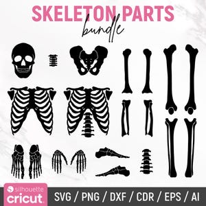 May include: A digital graphic set titled SKELETON PARTS bundle featuring black silhouettes of human bones including a skull, rib cages, pelvis, spine segments, hands, feet, and various long bones, presented as a collection of vector files.