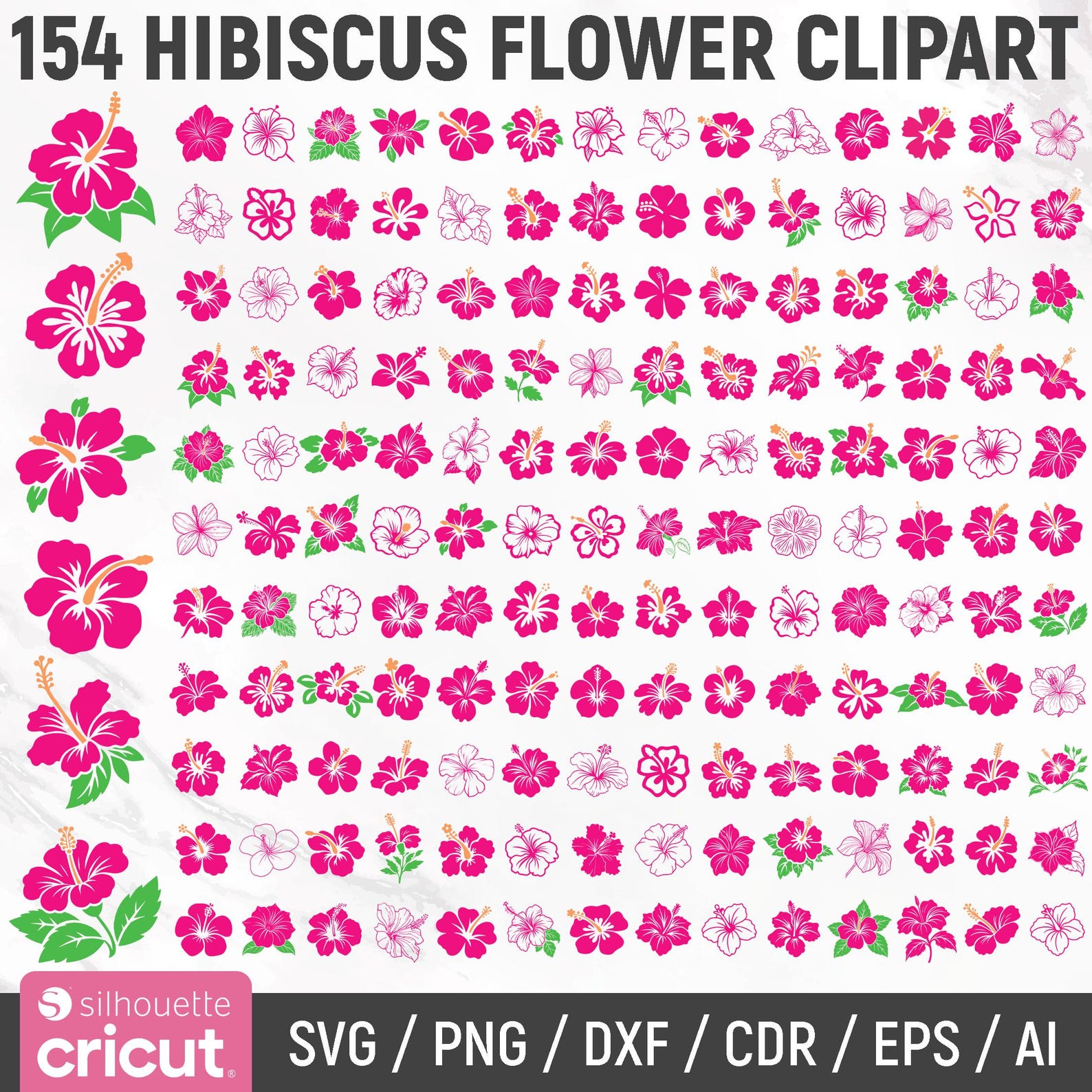 Hibiscus Svg Bundle, Tropical Flower Svg, Hawaii Flower Svg, Hibiscus ...