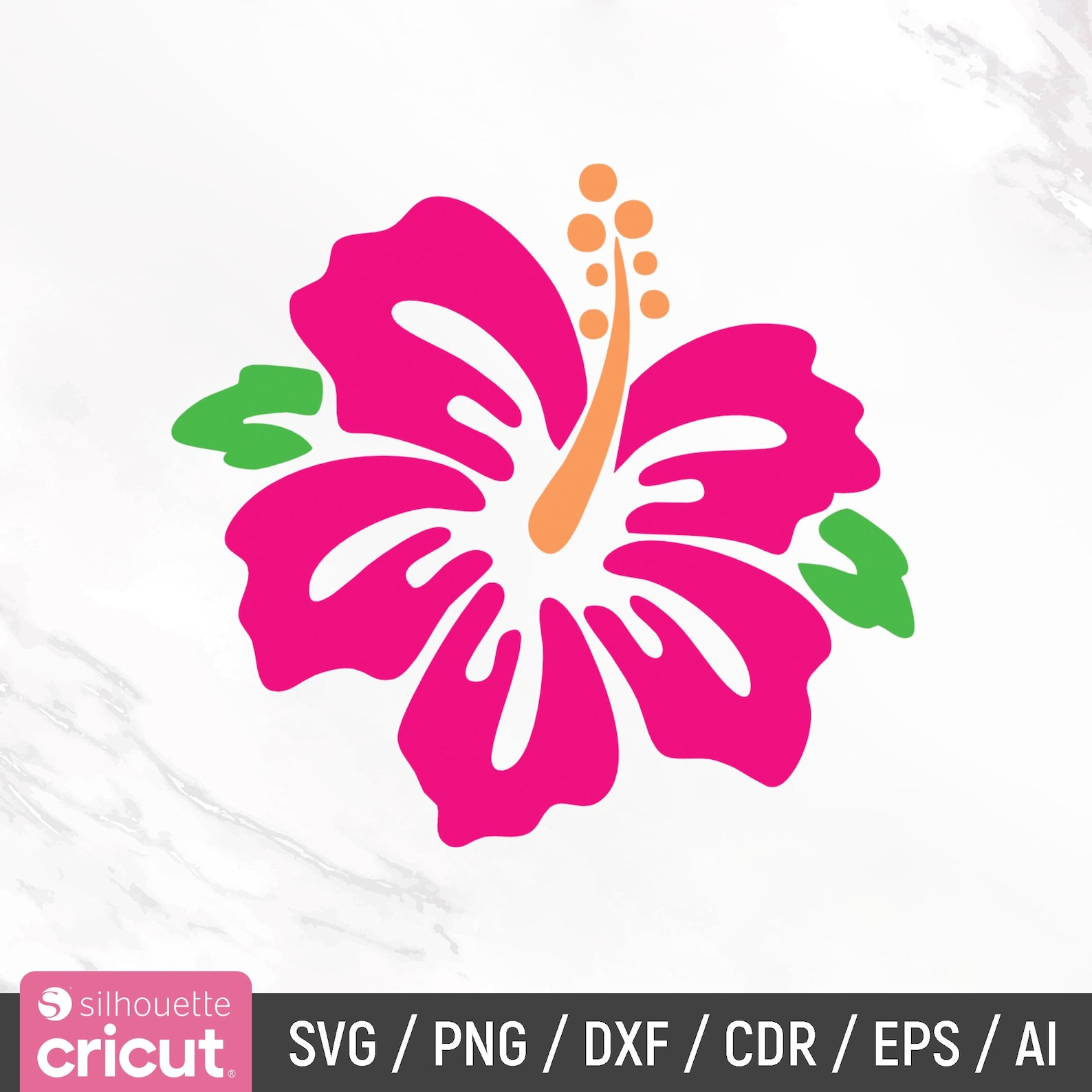 Hibiscus Svg Bundle, Tropical Flower Svg, Hawaii Flower Svg, Hibiscus ...