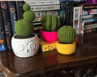 Crochet Cactus Pattern, PDF Amigurumi Pattern.