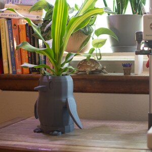 Puede incluir: Un macetero gris con forma de pingüino con una planta verde que crece en la parte superior. El macetero está sobre una mesa de madera.