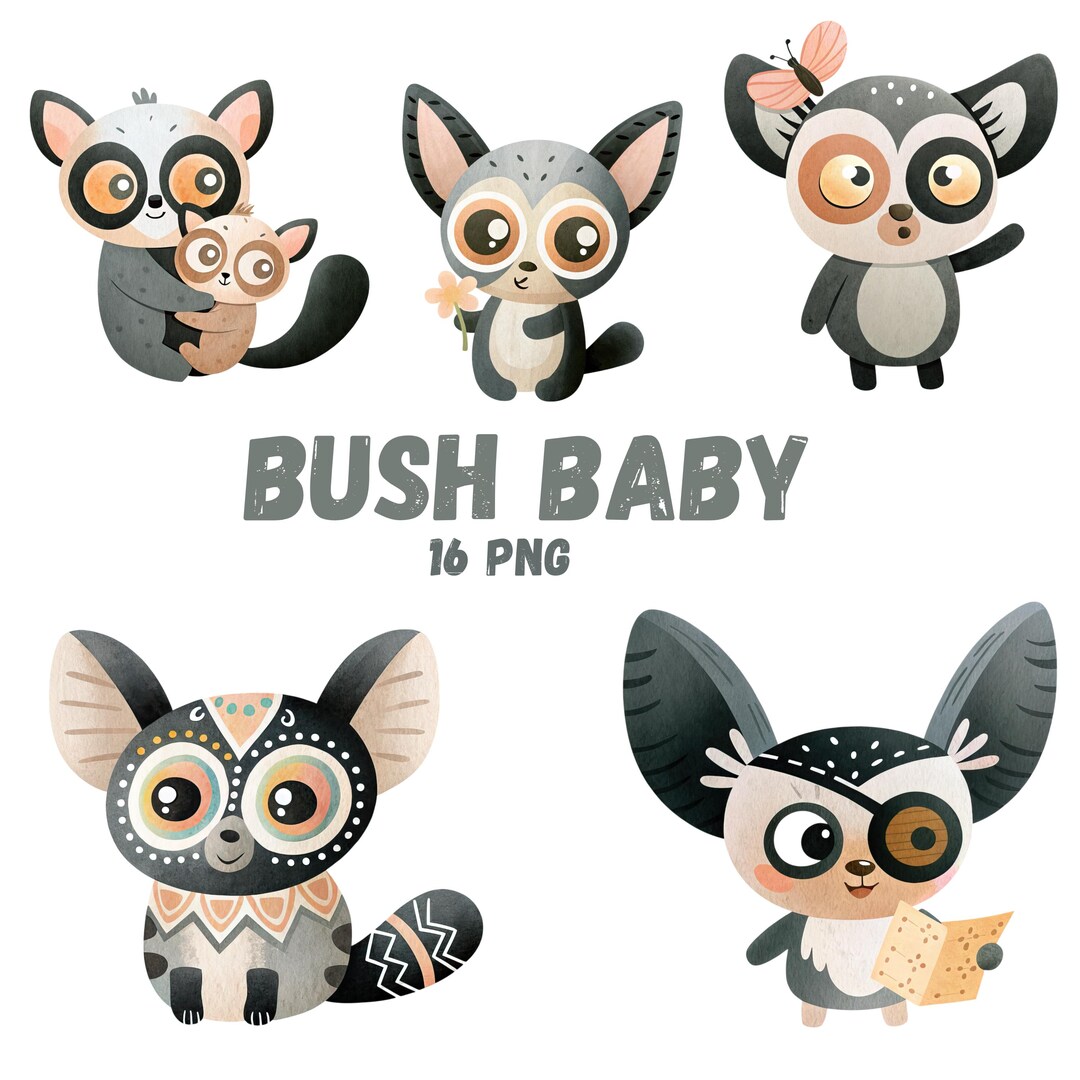 Cute Bush Baby PNG Clipart Set, Watercolor Galago Animal Illustration ...