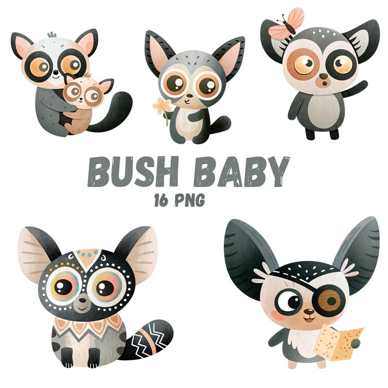 Cute Bush Baby PNG Clipart Set, Watercolor Galago Animal Illustration ...