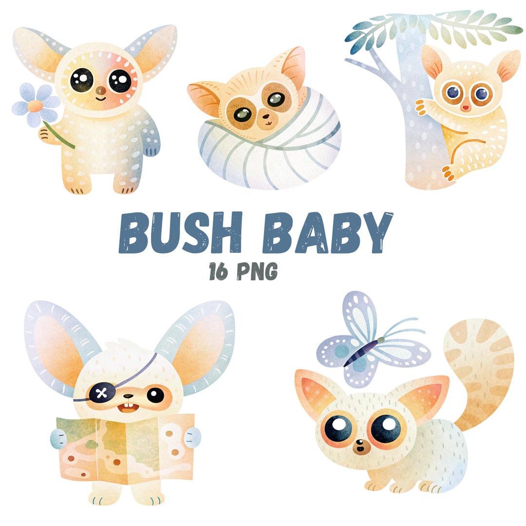 Cute Bush Baby PNG Clipart Set, Watercolor Galago Animals, Pastel ...