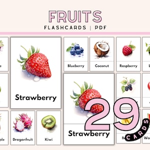 Fruits Flashcard for kids learning activity fruits identification card preschool homeschool material types of fruits Montessori 3 part card